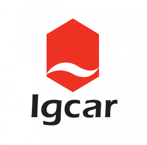 LOGO IGCAR 2